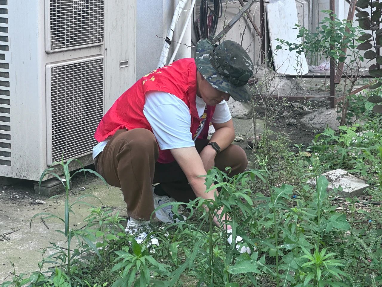 1715915791516349.jpg 7f39e52d993fffb74466d7e4a89bd013.jpg