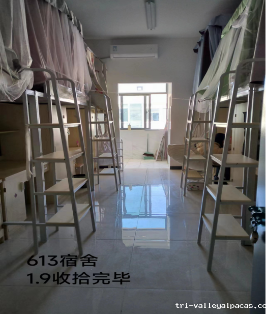 20250113101032_269245.png 20250113101032_269245.png