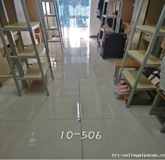 20250113101044_572492.png 20250113101044_572492.png