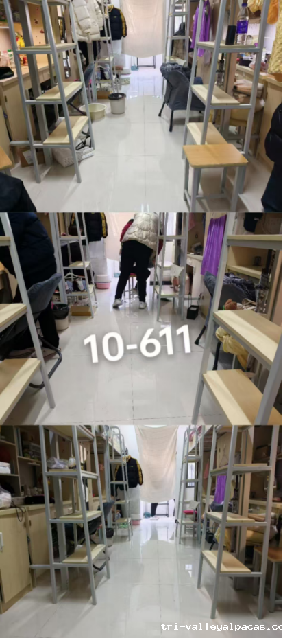 20250113101110_224756.png 20250113101110_224756.png