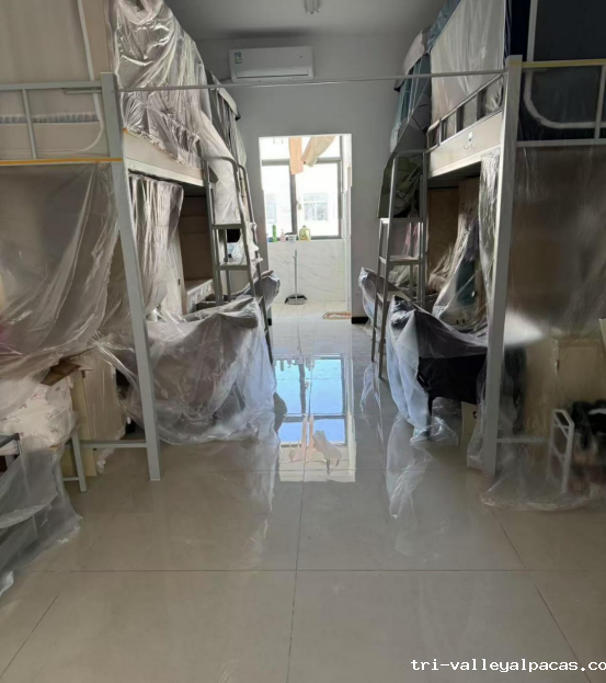 20250113101141_372755.png 20250113101141_372755.png