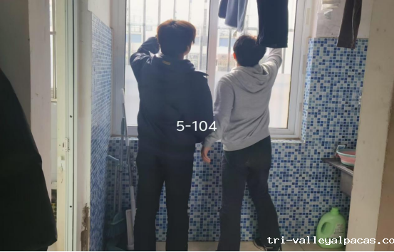 20250113101148_164718.png 20250113101148_164718.png