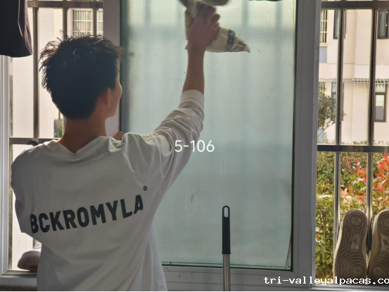 20250113101154_605179.png 20250113101154_605179.png