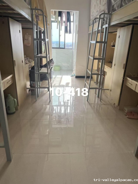 20250113101203_254437.png 20250113101203_254437.png