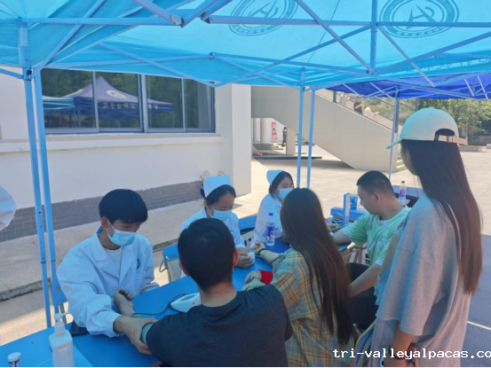 20250513105818_969355.png 20250513105818_969355.png