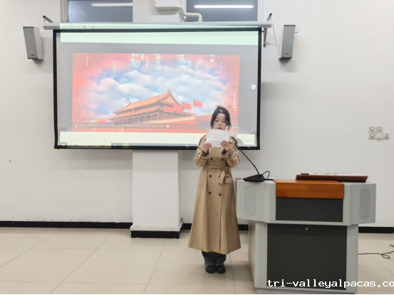 20251118155019_617877.png image.png