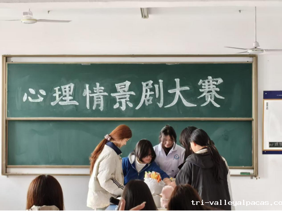 20251205093906_932928.png 20251205093906_932928.png