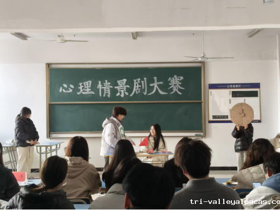 20251205093912_731962.png 20251205093912_731962.png