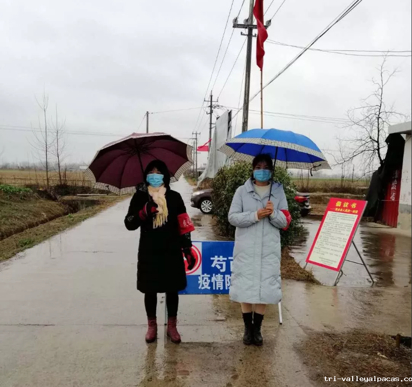 批注 2020-04-01 101637.png