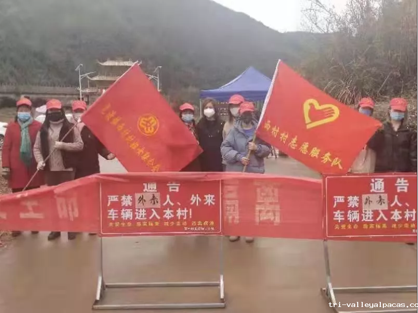 批注 2020-04-01 102136.png