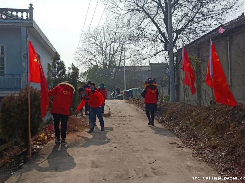 批注 2020-04-01 102713.png