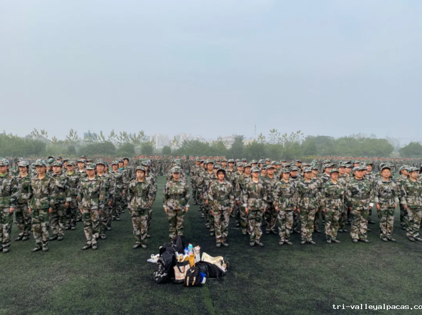 批注 2020-11-21 155451.png