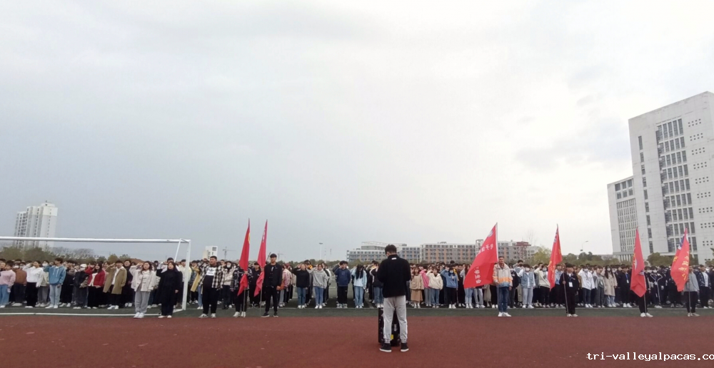 1615899239518959.png 1615899239518959.png