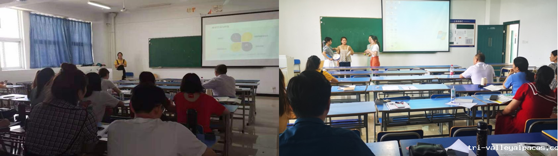 1630395787938050.png 2.png