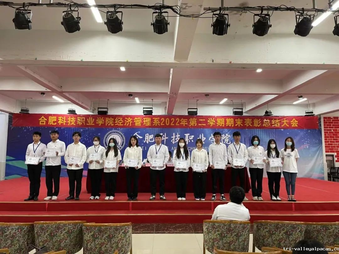 1660282662356094.jpg 34.jpg