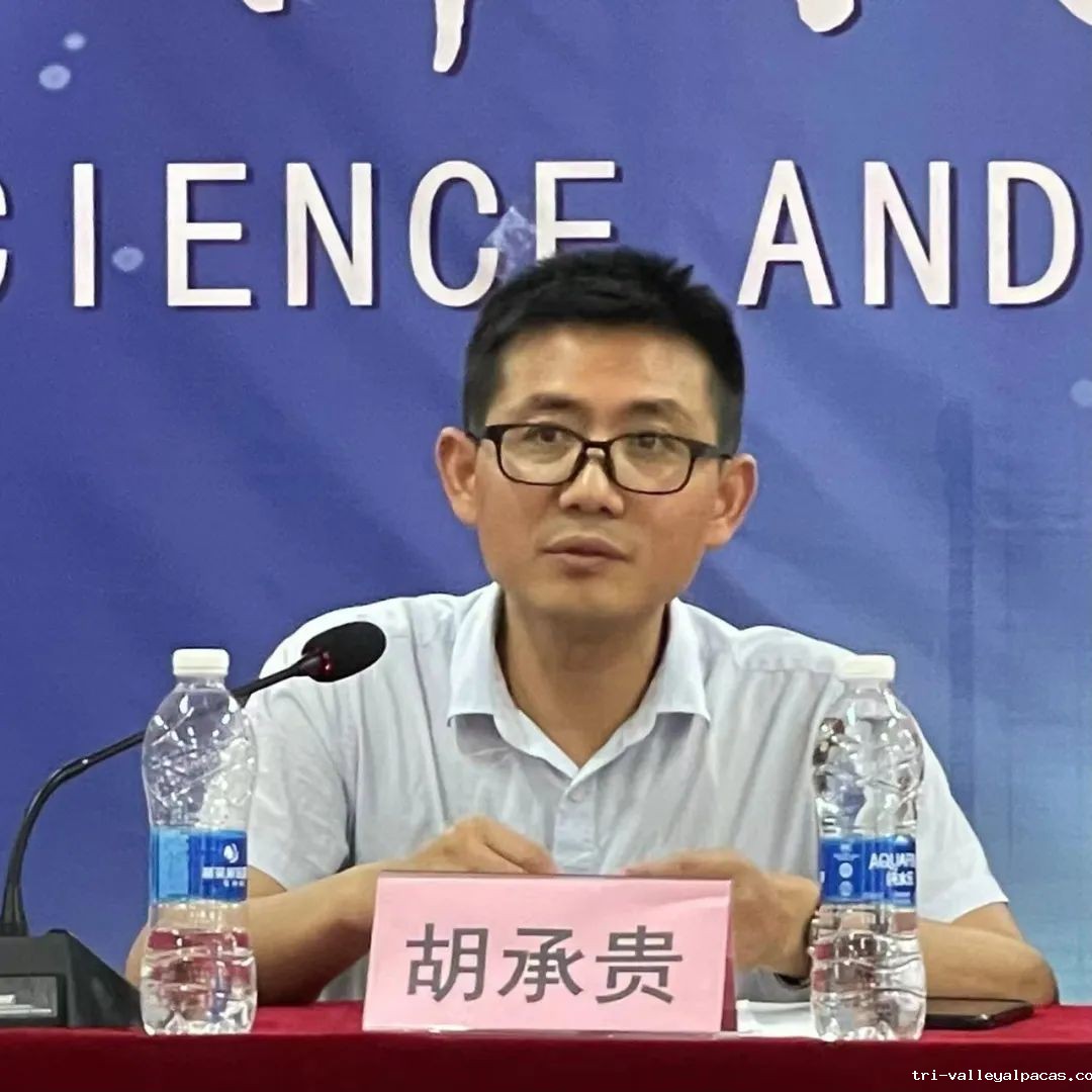 1660282734735025.jpg 40.jpg