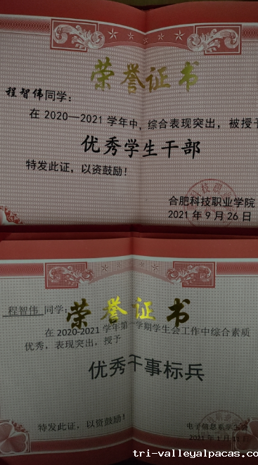 屏幕截图 2023-12-13 000410.png