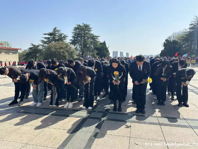 屏幕截图 2024-05-07 212343.png