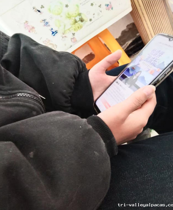 屏幕截图 2025-02-19 104135.png