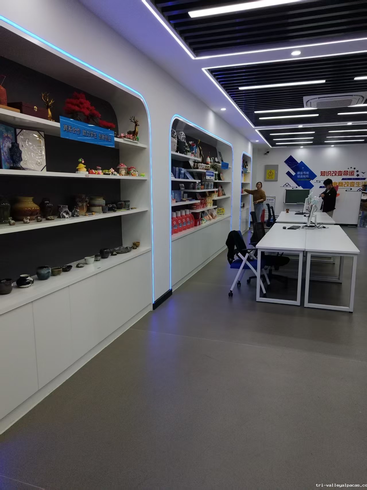 20250305135233_857699.jpg 直播4.jpg