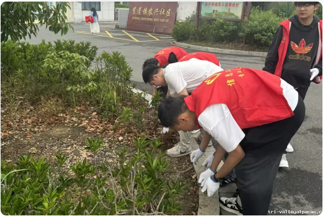 20251029195551_819190.png image.png