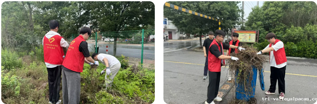 20251029195622_719361.png image.png