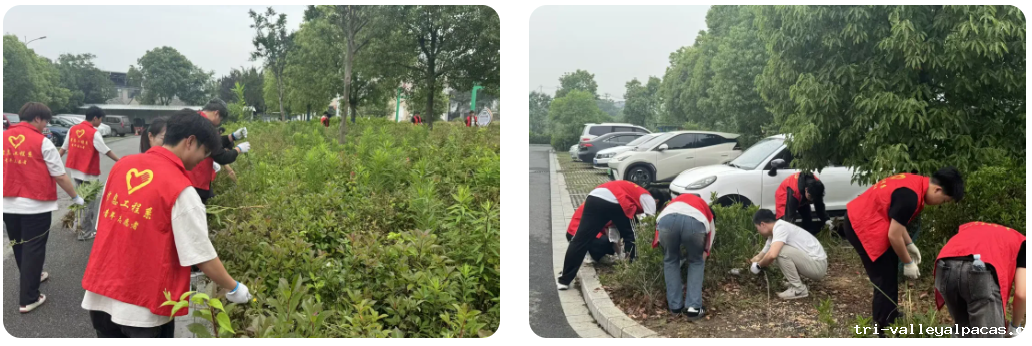 20251029195657_659664.png image.png