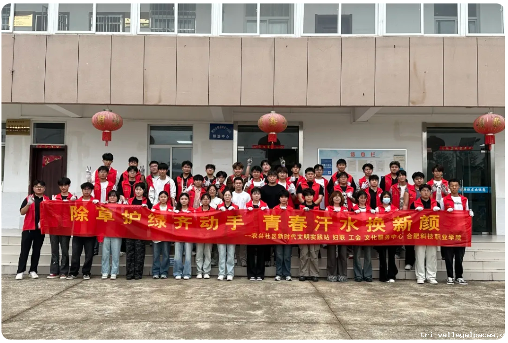 20251029195728_336785.png image.png