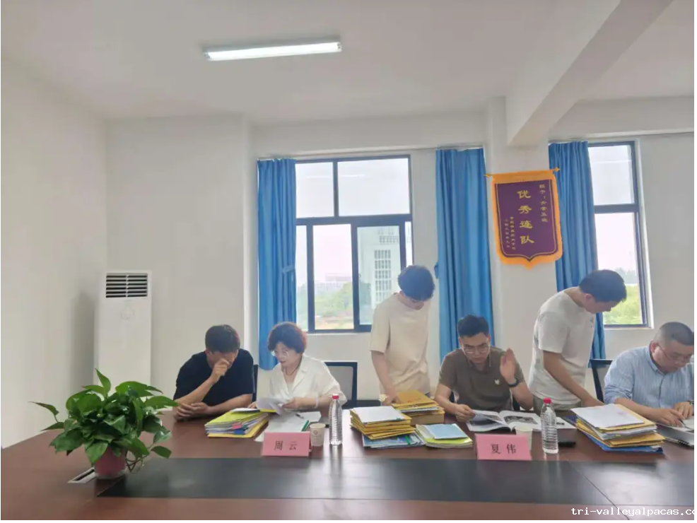 20251029200837_437680.png image.png